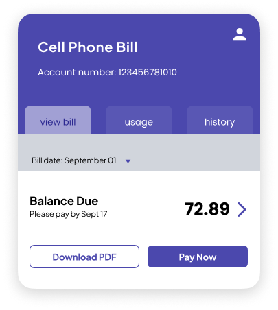 Cell Phone Bill Part of HYKE Story in explaining the pain